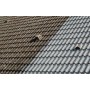 Antimousse toiture concentré PYROX AC - Bidon de 5L I Halvea