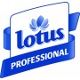Série 3000 Lotus blanc essuie mains ou Tork H11 - Colis de 6 rouleaux