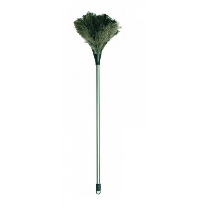 Plumeau Décoration Plumeau Plumes Autruche 34cm - Nettoyage Poussière Manche Bois Naturel Plumeau Lavable