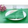 Serviettes 2 plis Vert prairie 40x40cm - Colis de 1600 