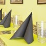 Serviettes Double Point Noir 39x39cm - Colis de 1200