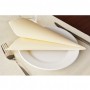 Serviettes Soft Ivoire 40x40cm 60 g/m² - Colis de 700