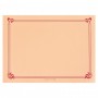 Sets de Table "Snack" Saumon 30x40cm - Colis de 2000