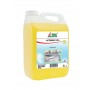 APESIN Daily, Détergent désinfectant polyvalent - 5 L | Halvea