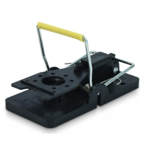 Piège tapette à souris ROTECH SNAP MOUSE TRAP - unité