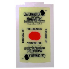 Plaques professionnelles à glu pour rats - Lot de 2