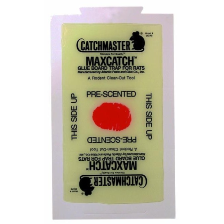 Plaques professionnelles à glu pour rats - Lot de 2