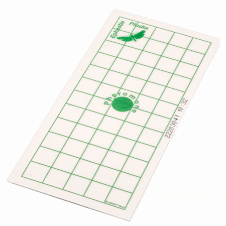 Plaque attractive mites alimentaires pour piège "GEO-PAD" - Paquet de 10 unités