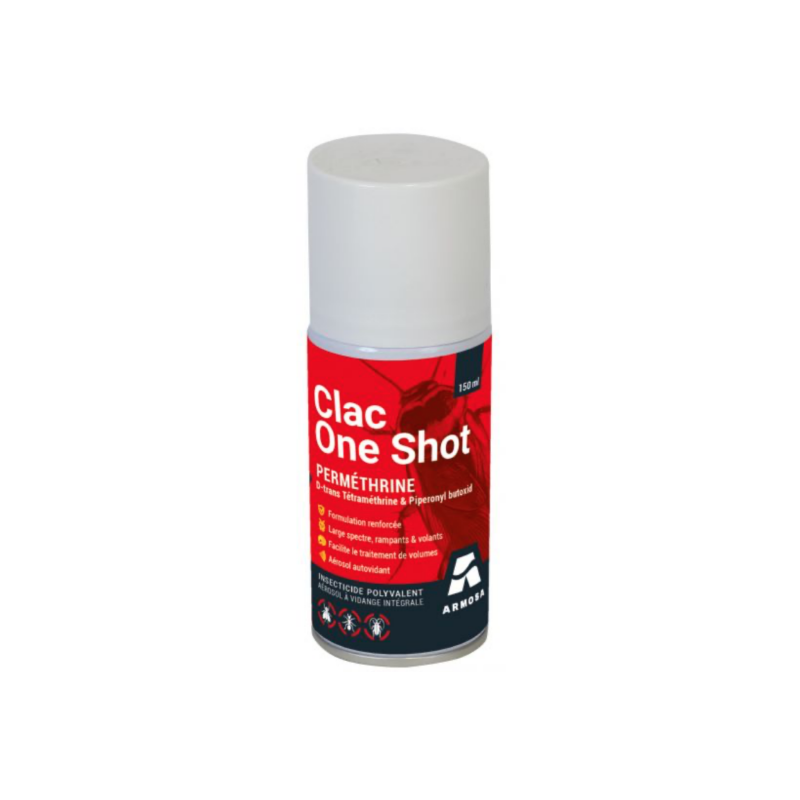 Aérosol insecticide volants et rampants 