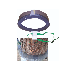 Piège à collier chenilles processionnaires  PROCEREX diamètre maxi 35cm - Unité