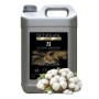 Détergent Sur-odorant SENSUAL 2D Parfum Fleur de Coton - Bidon de 5L
