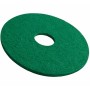 Disque Vert pour gros travaux de récurage - Colis 5 disques