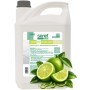 Nettoyant sols 3D Détergent, désinfectant et désodorisant Citron vert - Bidon de 5L