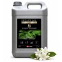 Détergent Sur-odorant SENSUAL 2D Parfum Fresh Garden - Bidon de 5L