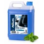 Lave-glace -10°C 4 saisons Parfum Menthe - Bidon de 5L