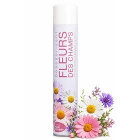 Désodorisant parfum fleurs des champs - Aérosol de 750ml