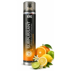 Destructeur d'odeur parfum agrumes gros débit  - Aérosol 750ml