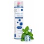 Destructeur d'odeur parfum menthe gros débit bactéricide - Aérosol 750ml