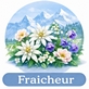 Fraicheur.jpg