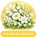 fleurs blanches 2.jpg