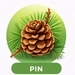 pin_1.jpg