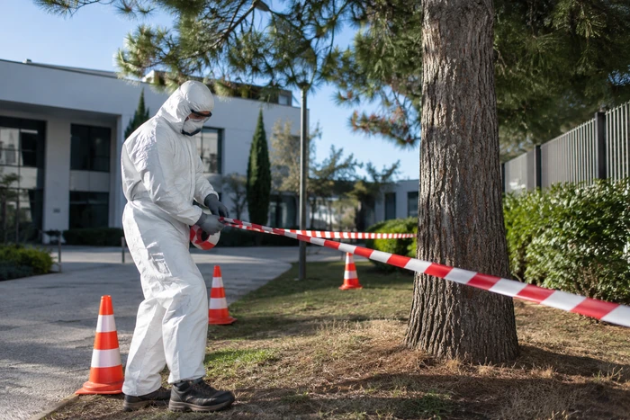 Intervenant en combinaison, masque et lunettes installant un ruban de balisage près d’un pin.